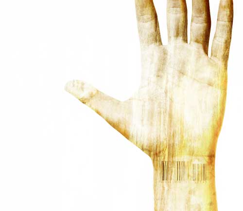 Consumed by Consumerism