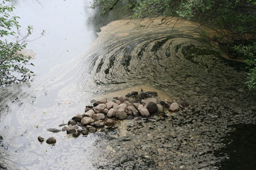 Polarizing Filter Off