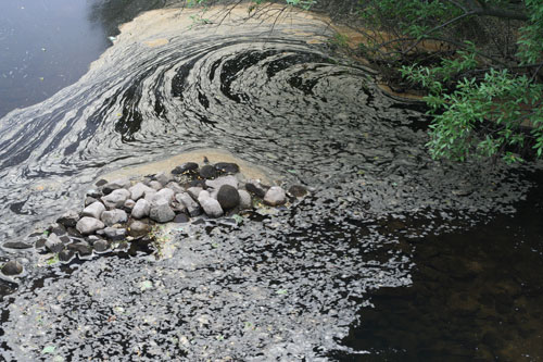 Polarizing Filter On
