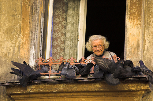 The Old Lady and the Birds (Krakow)
