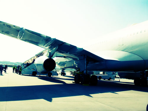 Lufthansa Airplane At The Terminal
