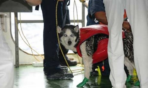 2009-11-16 VB - CruiseRescue 2009-11-16 VB - CruiseRescue