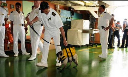 2009-11-16 VB - CruiseRescue2 2009-11-16 VB - CruiseRescue2