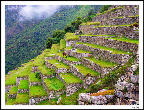 Andenes del Machu Pichu, Peru