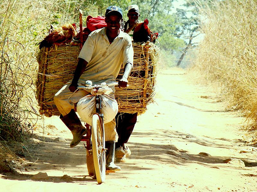 Happy Bicyclist, Congo