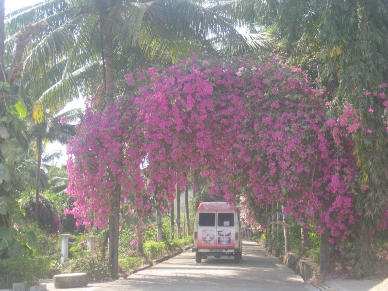 Bus Near SCAW Bedkit Distribution, India