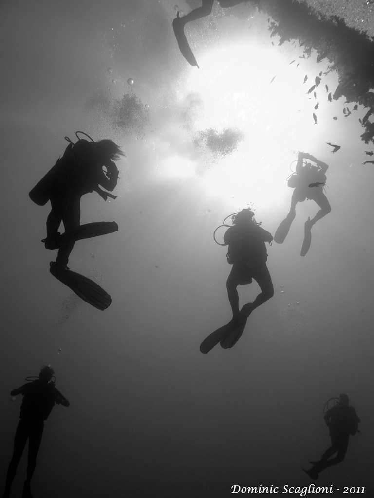 Chain Divers in the Red Sea, Egypt