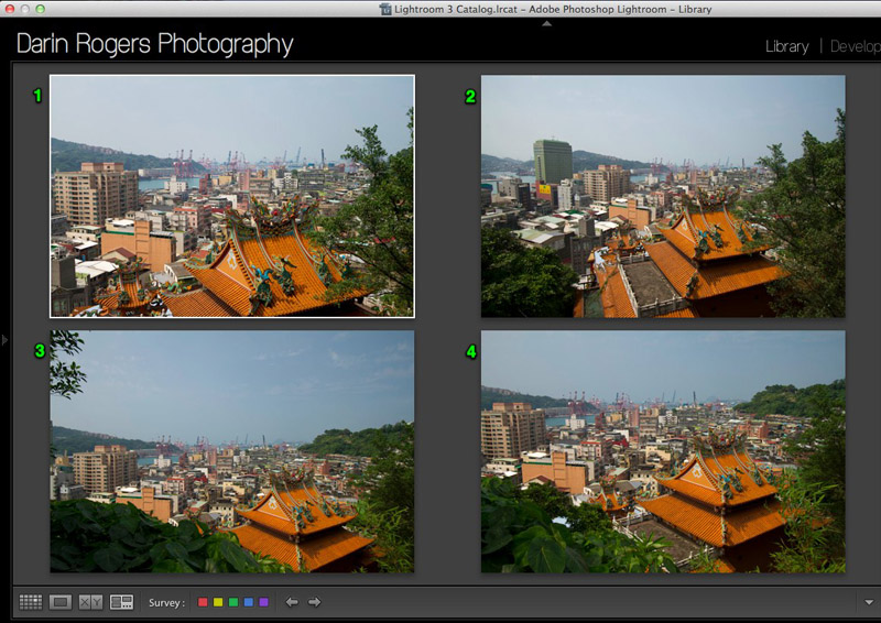 Deciding Which Travel Photos to Keep Software displaying four slight variations of a single travel photo