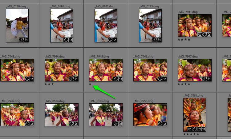 Star Rating System Star Rating System in Photography Management Software