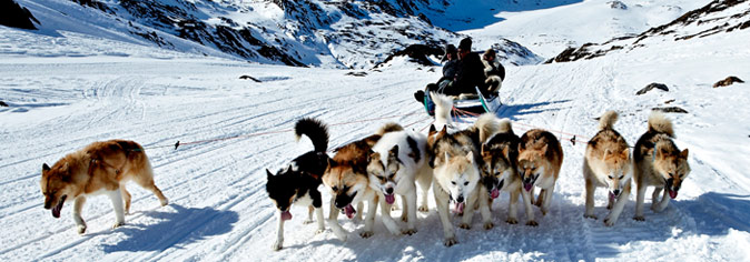 Dog sledder in the snow in Sisimiut, Greenland