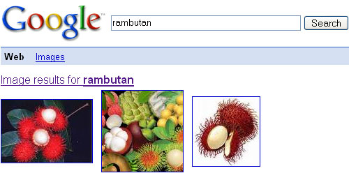 Google Shortcut: Identify Peope, Foreign Objects, and More