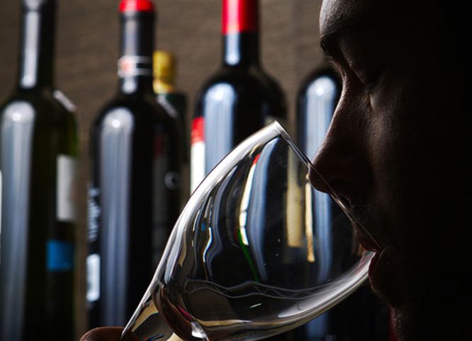 Sampling Fine Wines of Napa Valley Man intently smelling wine in Napa Valley