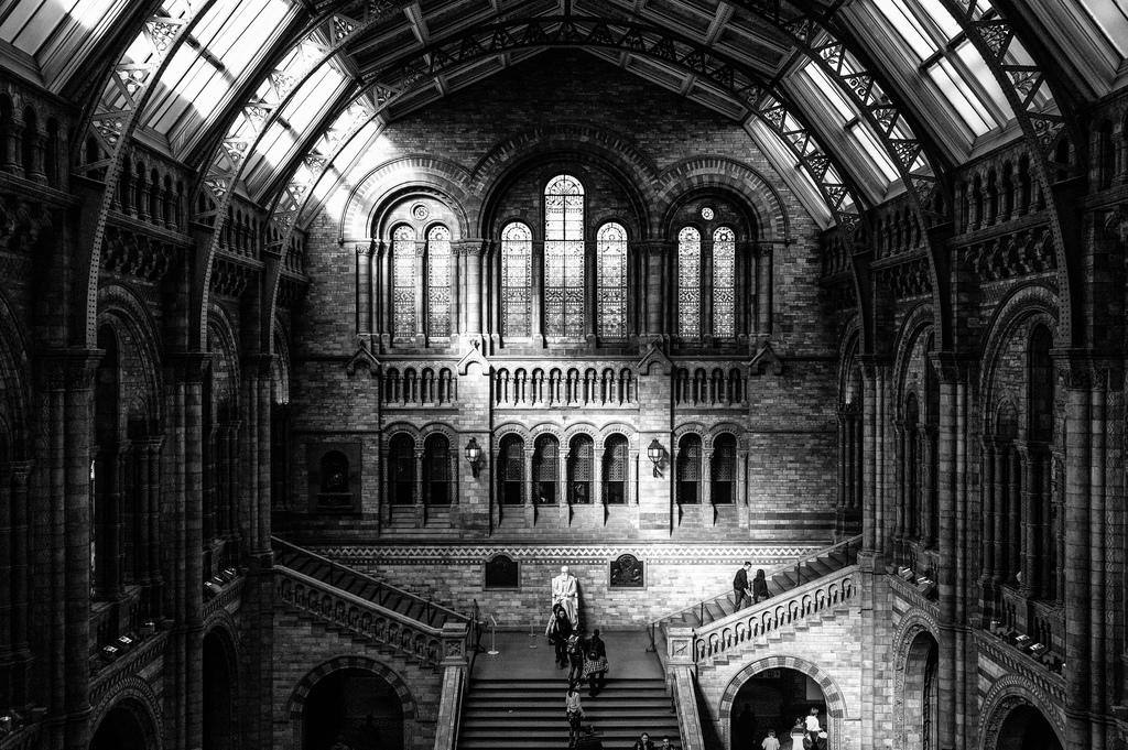 Natural History Museum, London (interior)