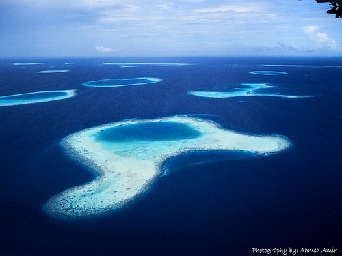 Over the Reefs, Maldives