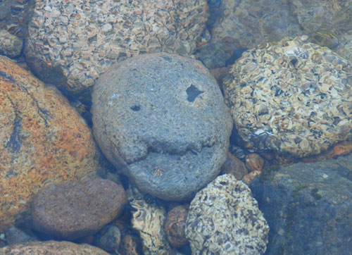 Pirate Rock from the Pemigewassett River