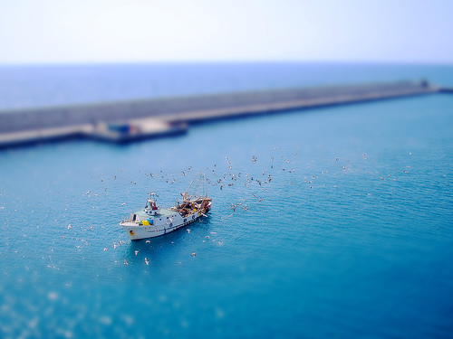 Civitavecchia Port, Italy