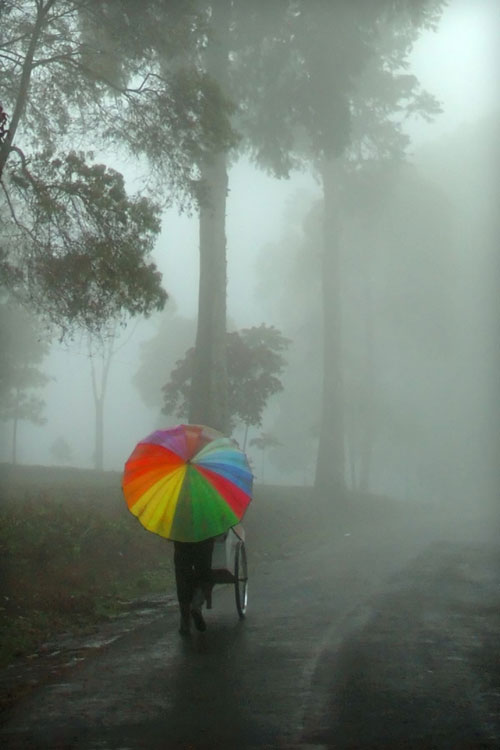 Man walking through mist in Indonesia