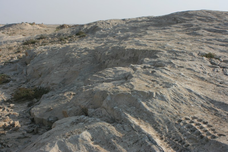 Rock Carvings of Al Jassasiya, Qatar