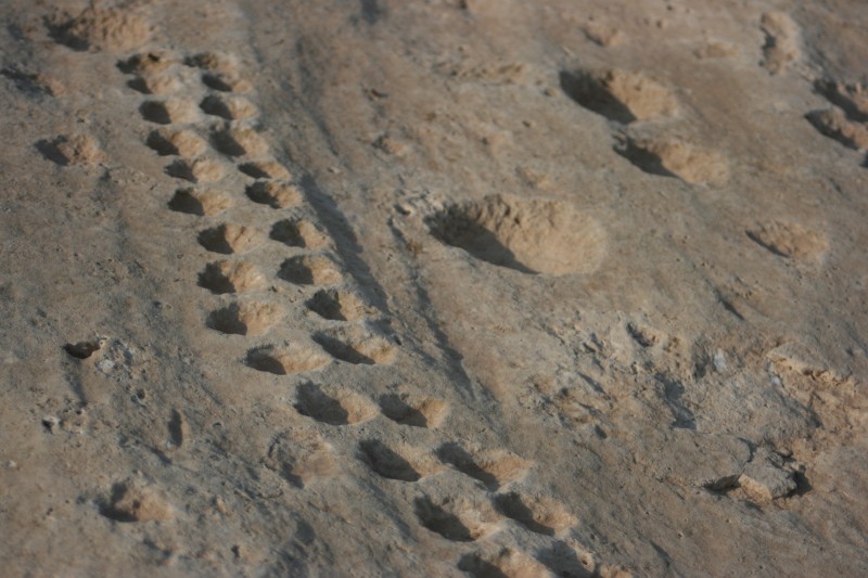 Rock Carvings of A Jassasiya, Qatar