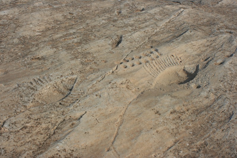 Rock Carvings of Al Jassasiya, Qatar