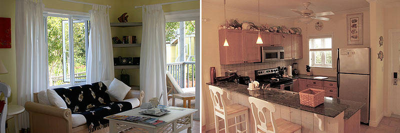 Pineapple Fields (interior), Eleuthera, Bahamas Pineapple Fields (interior), Eleuthera, Bahamas