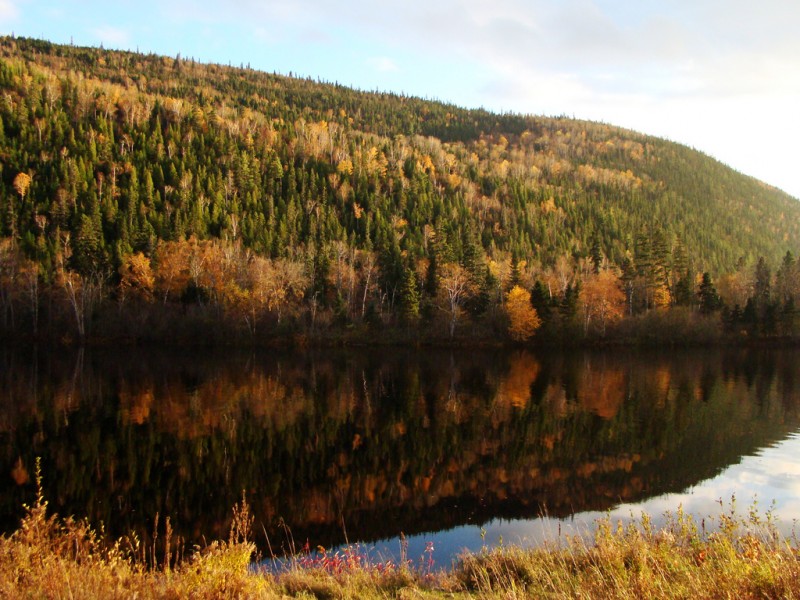 Autumn Colors of Saguenay Fjord, Quebec Autumn Colors of Saguenay Fjord, Quebec