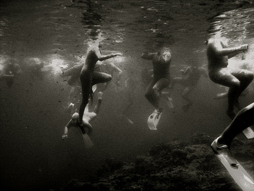 Underwater view of group of swimmers at Great Barrier Reef in Queensland