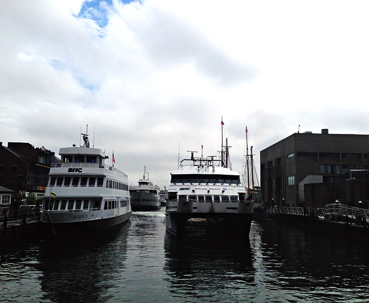 Whale Watch Tour Boat in Boston, Massachusetts
