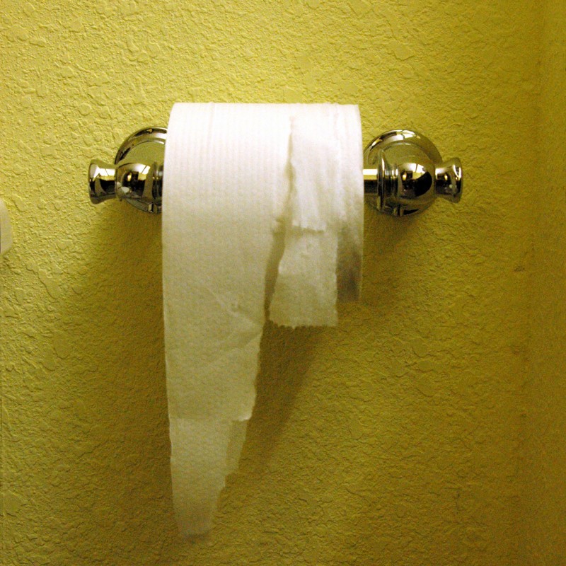 Shredded Toilet Paper Roll Shredded Toilet Paper Roll