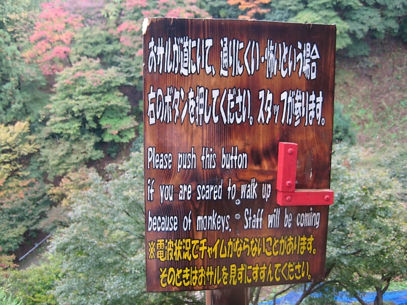 A Not-So-Reassuring Sign, Arashiyama Monkey Park