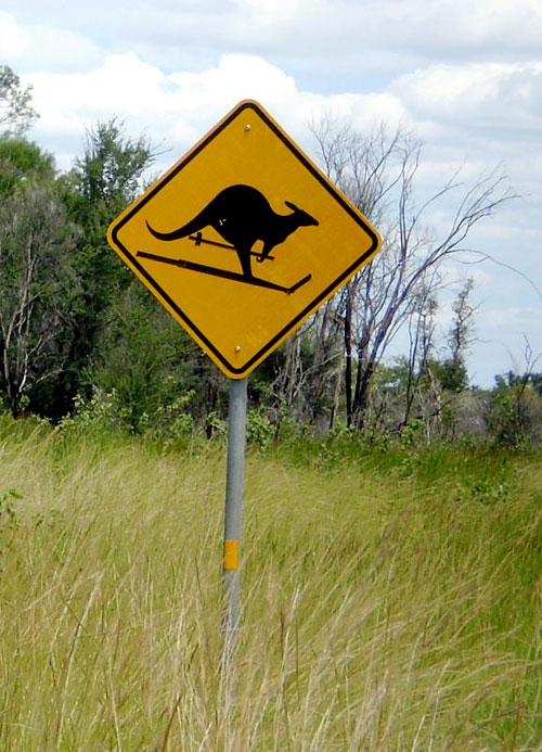 Signspotting: Beware of Skiing Kangaroos, Australia