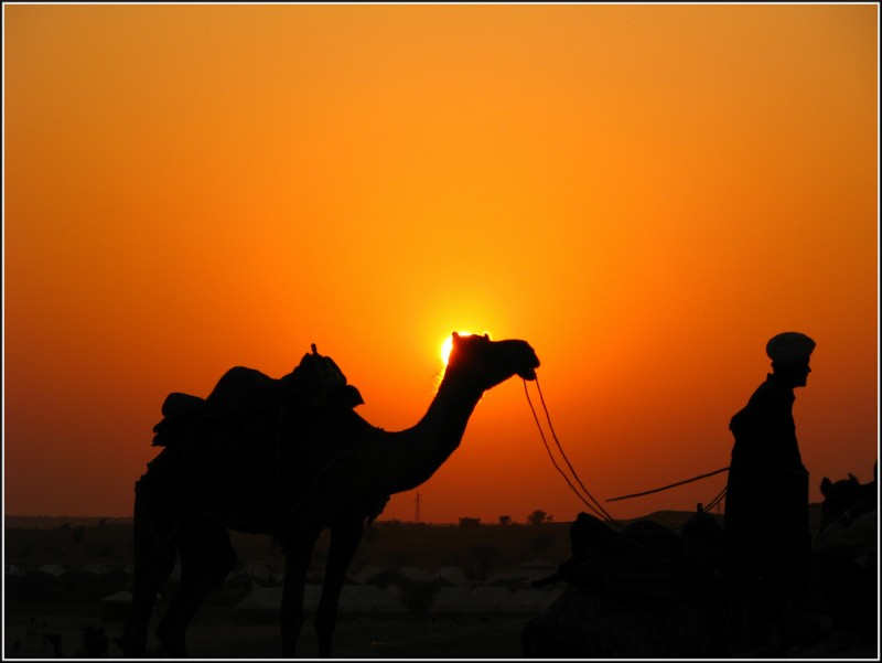 Silhouette of Man & Camel in Sam Desert Jaisalmer, Rajasthan, India