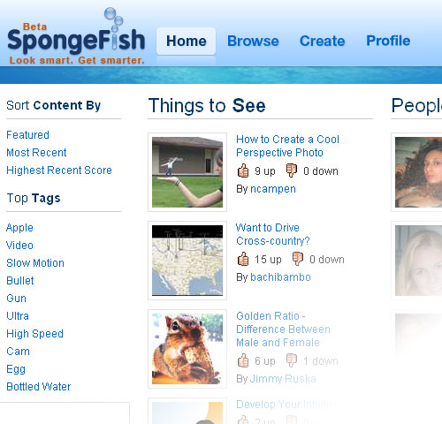 Spongefish.com Screenshot