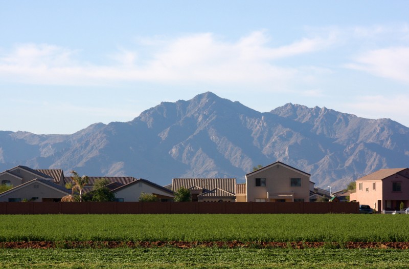 Arizona Suburb