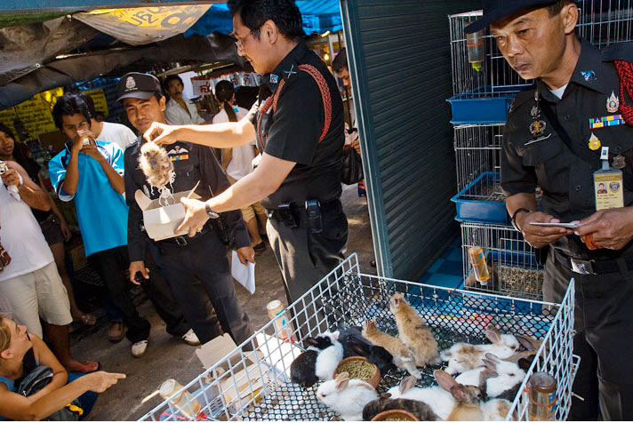 Thai Police Raid on Endangered Animal Trafficking