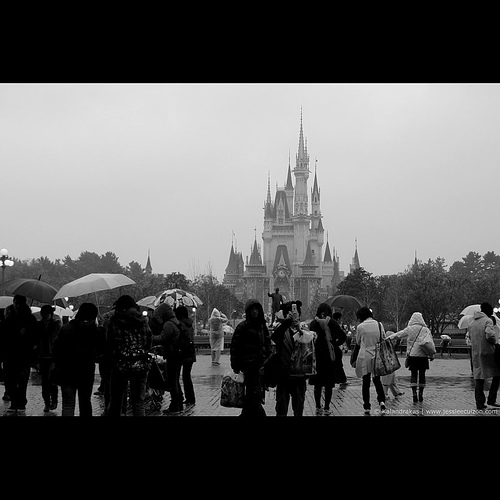 Rain or Shine at Disneyland, Tokyo