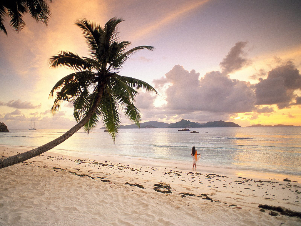 Twilight Paradise at La Digue, Seychelles