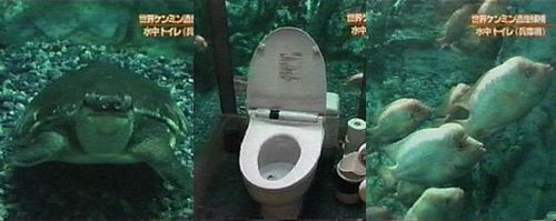Japanese Underwater Toilet