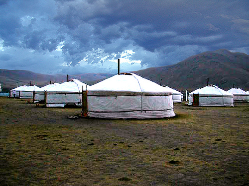 Volunteer Huts (\"Gers\"), Mongolia Volunteer camp in Hustai Park, Mongolia