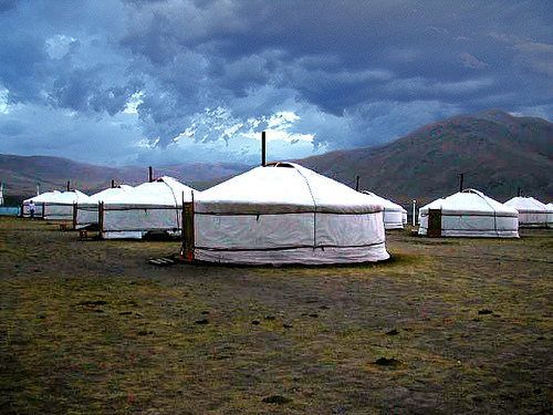 Volunteer camp in Hustai Park, Mongolia