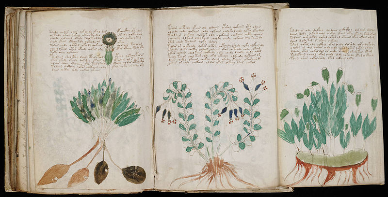 Voynich Manuscript Voynich Manuscript