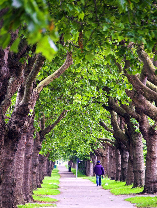 Walking the Green Paths, Dublin