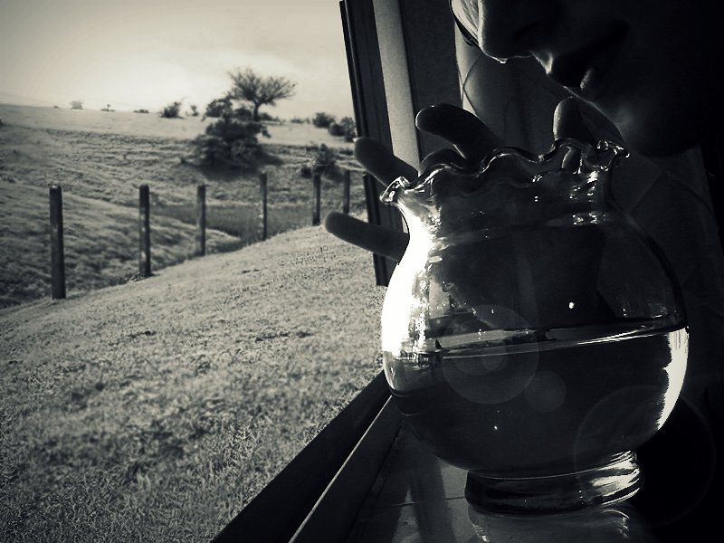 What Moves You? What Moves You?