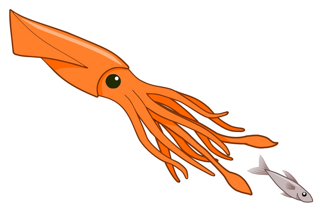 Игра в кальмара squid. Кальмар мультяшный. Кальмар из игры в кальмара. Кальмар без фона. Маска игра в кальмара.