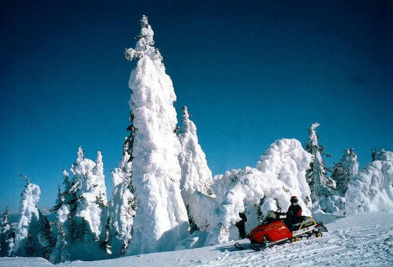 Snowmobiling Near West Yellowstone, Montana Snowmobiling Near West Yellowstone, Montana