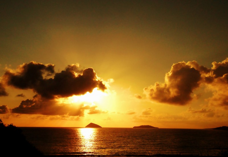 Pelican in flight at sunset near the fishermen's wharf in Puerto Ayora, Galápagos Islands, Ecuador